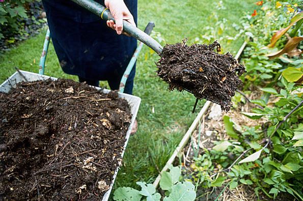 guide-achat-comment-choisir-terreau-jardin